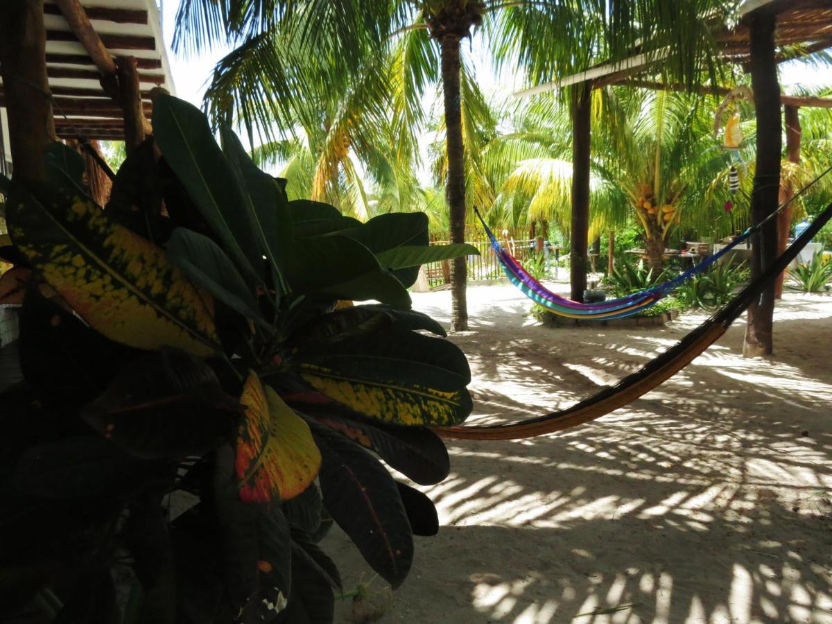 Capital O Art Maya Rooms Isla Holbox Dış mekan fotoğraf